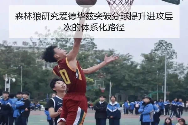 森林狼研究爱德华兹突破分球提升进攻层次的体系化路径
